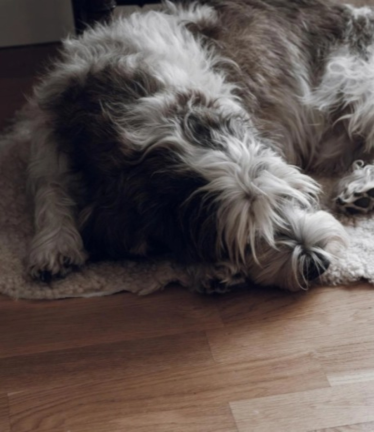 Polštář australská kožešina Curly, antracit, 45x45 cm