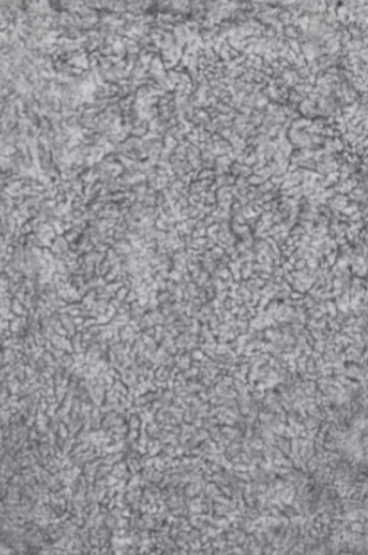 Kudrnatá australská kožešina Curly Charcoal, stříbřitě šedá, 180x60 cm