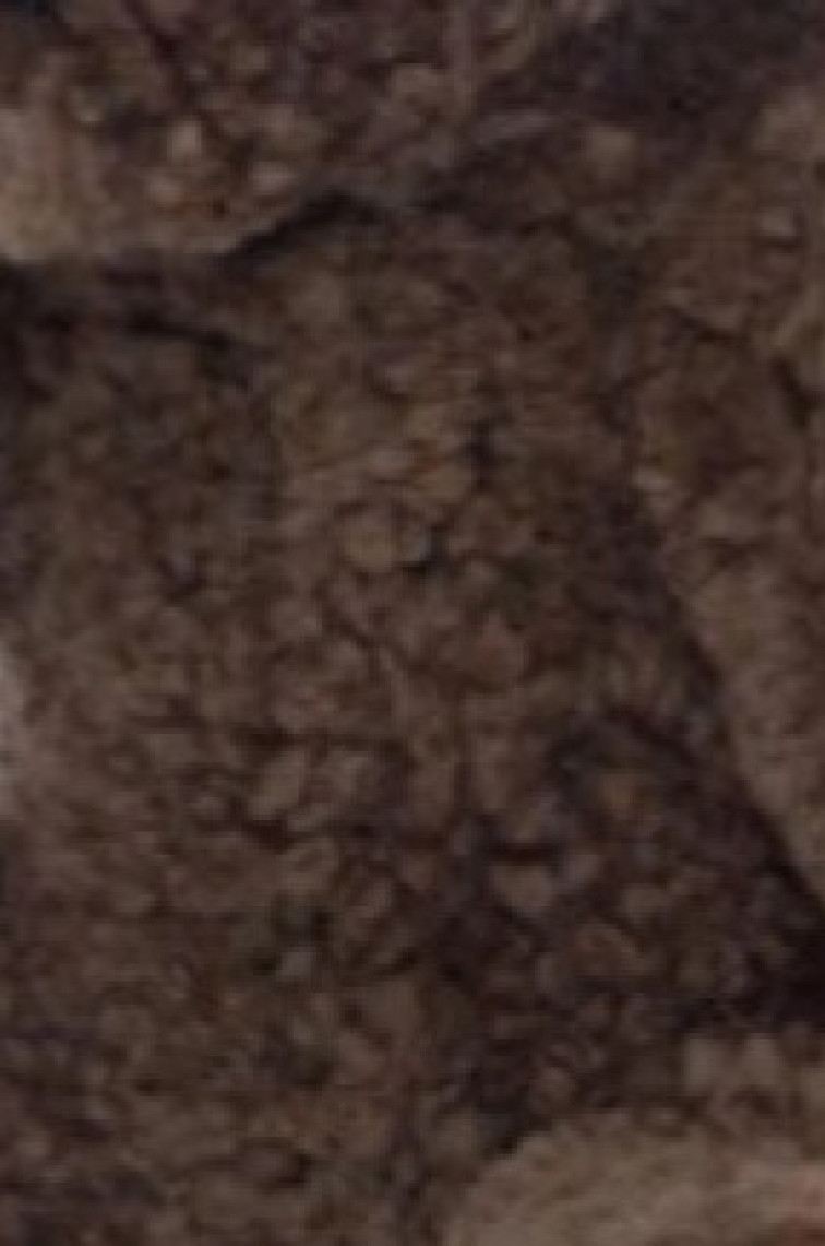 Kožešinový medvídek Teddy, kudrnatá kožešina Curly Sahara