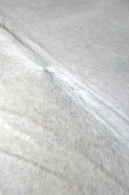 Hovězí kůže Tilda malá, brazilská kráva