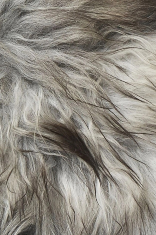 Islandská ovčí kožešina Molly, přírodní světle šedá, 90 cm