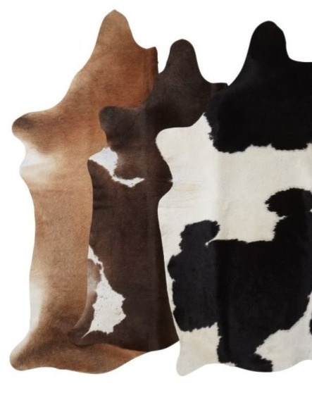 Hovězí kůže Tilda malá, brazilská kráva