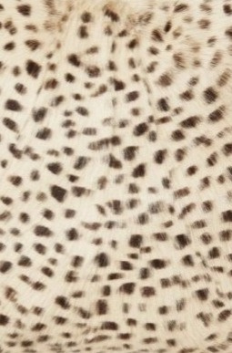 Kozí kůže Goaty Panther