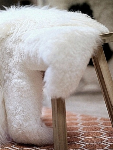 Islandská ovčí kožešina Nelly, bílá, 90x55 cm