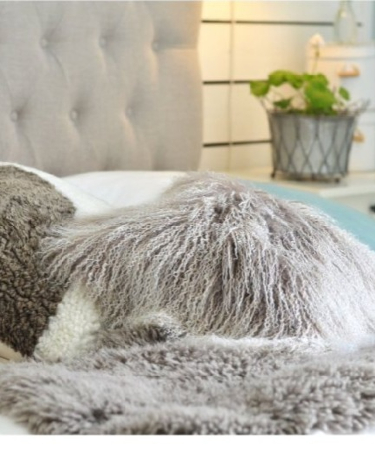 Polštář Snowtop, tibetská kožešina, béžová, 40x40 cm