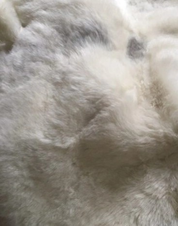Islandská ovčí kožešina Nelly, bílá, 90x55 cm