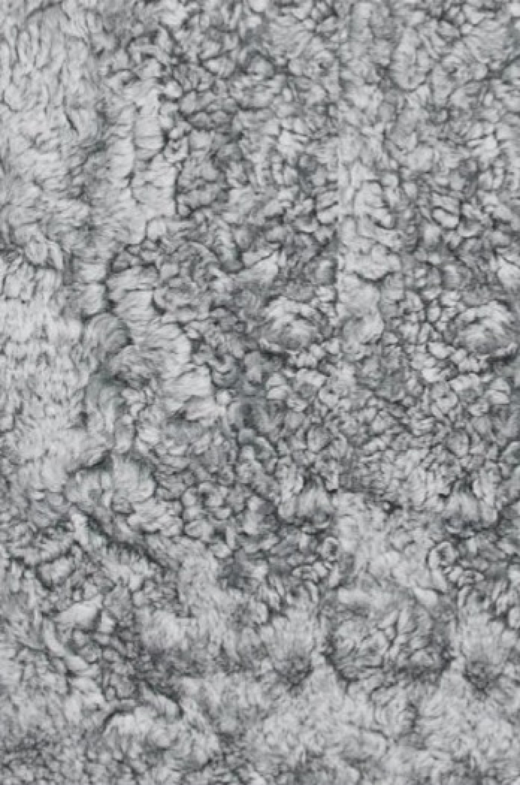 Kudrnatá australská kožešina Curly Charcoal, stříbřitě šedá, 135x60 cm