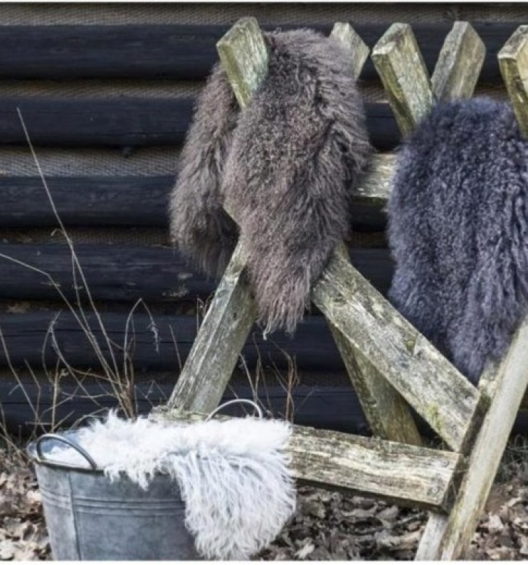 Tibetská kožešina Potatoe, 95x55 cm