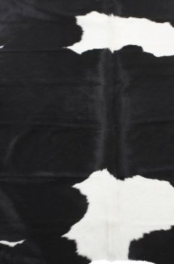 Hovězí kůže Clara, brazilská kráva