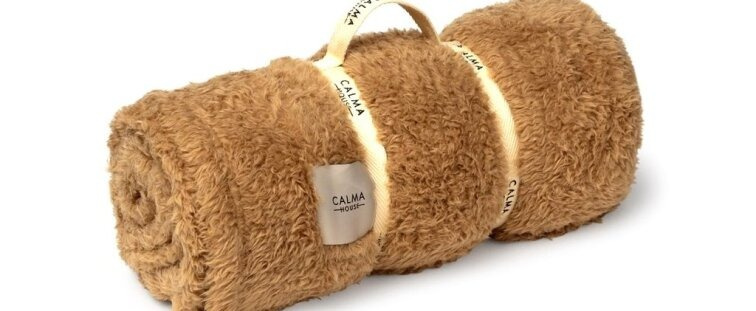 Plyšový pléd Tedy Beige, béžový, 120x180 cm