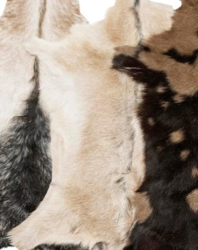 Kozí kůže Goaty mix