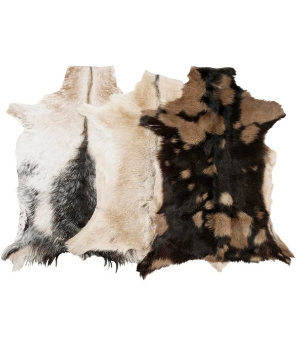 Kozí kůže Goaty mix