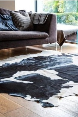 Hovězí kůže Clara, brazilská kráva