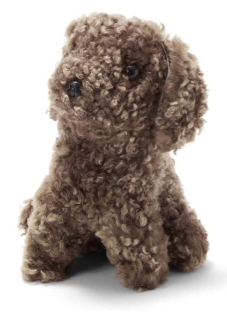 Kožešinové štěně Mini, kudrnatá kožešina Curly Sahara