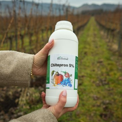 Zlaté žltnutie viniča – hrozba, ktorá sa môže týkať každého vinohradníka