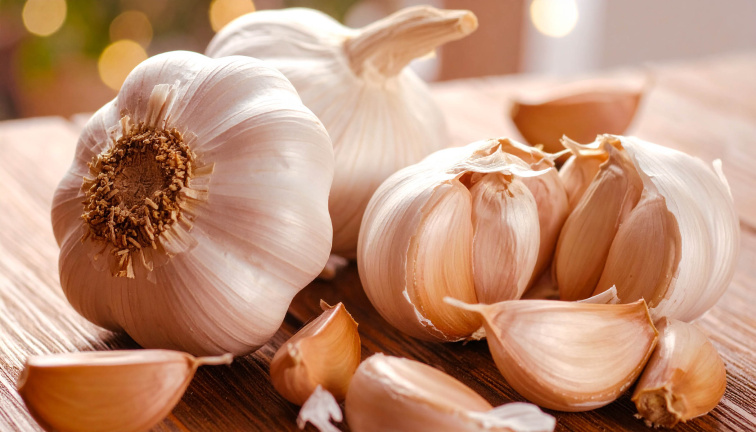Cesnak ako zdroj zdravia a imunity