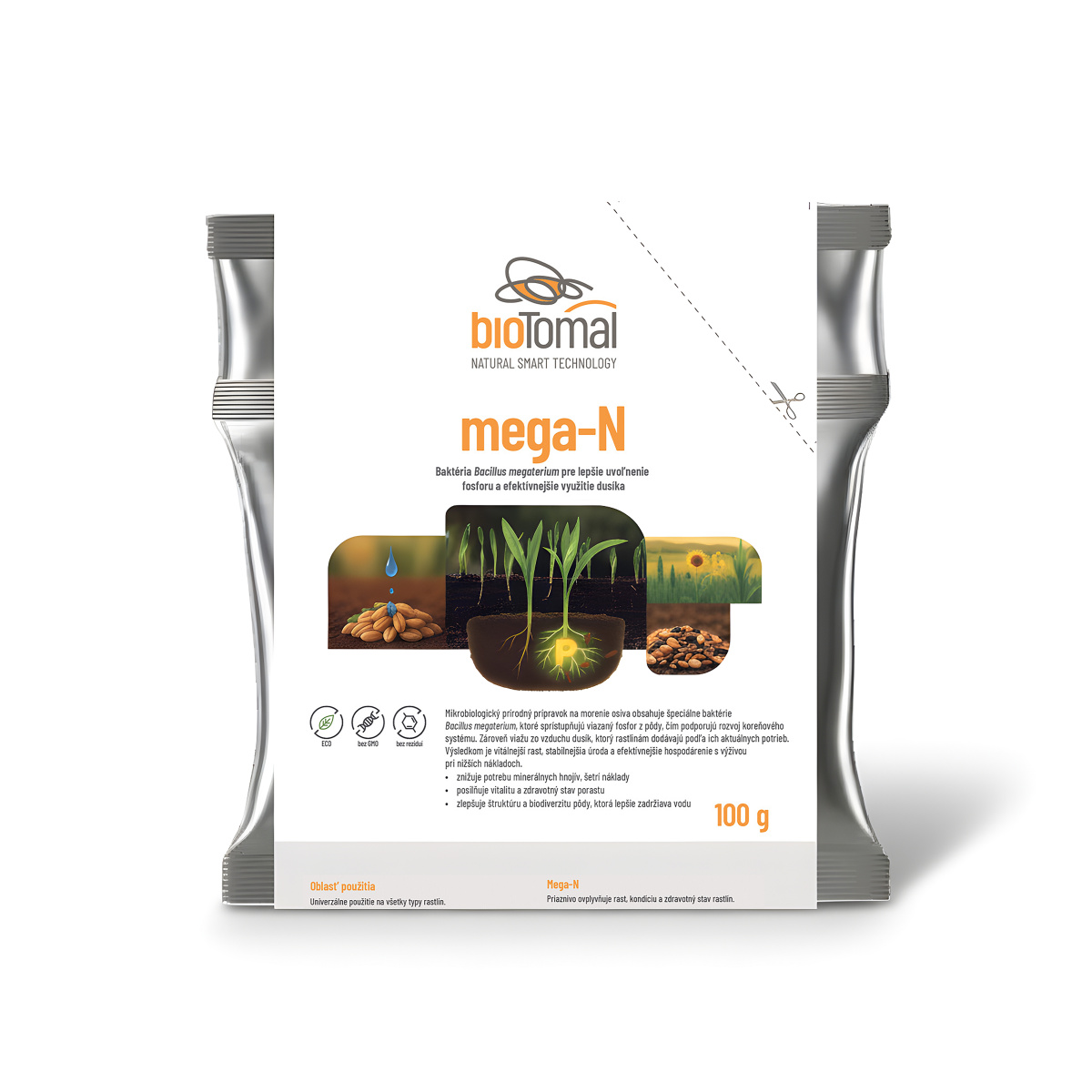 Silné korene po výsadbe