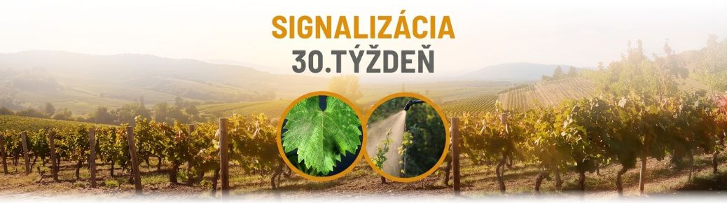 Signalizácia: 30. týždeň