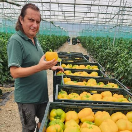 Vzdelávanie v ochrane a výžive drobného ovocia 2026 - prehľad odborného podujatia v Dunajskej Lužnej