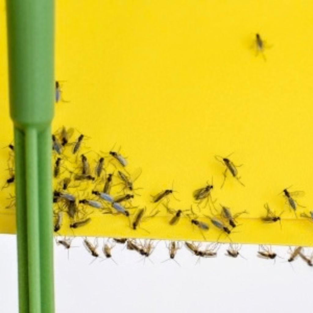 5 problémov, ktoré sa objavia v domácnosti práve na jeseň. Viete, ako im predísť?