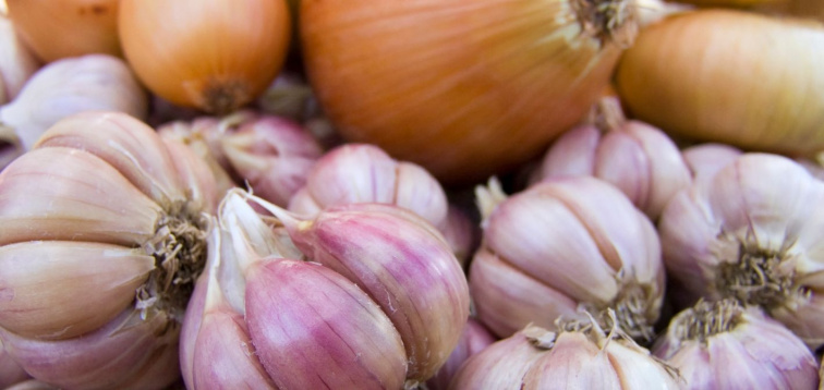 Prirodzená ochrana pred škodcami – ako to funguje