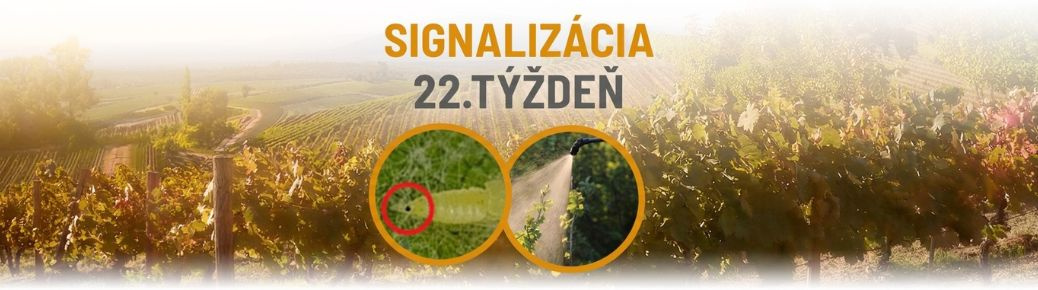 Signalizácia: 22. týždeň