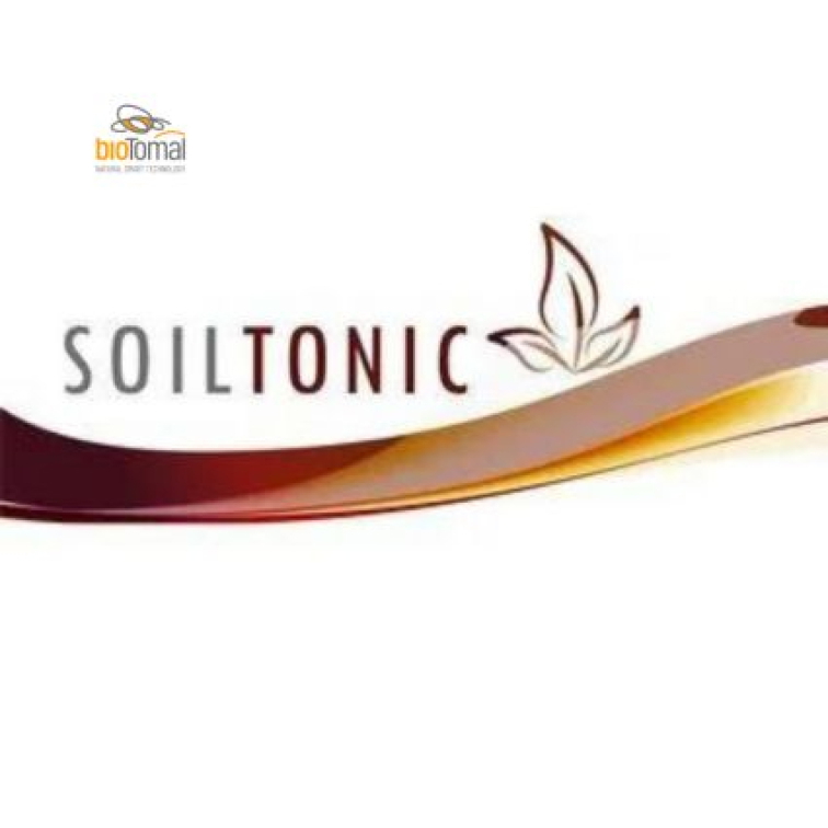 August v záhrade – most medzi letom a jeseňou