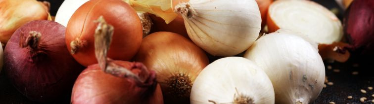 Cibuľoviny pod ochranou, škodcovia na úteku