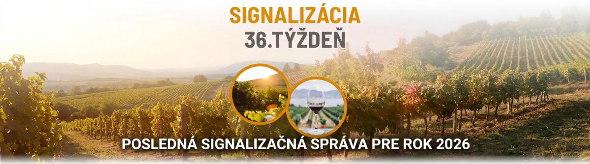 Signalizácia: 36. týždeň