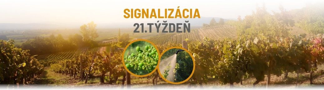 Signalizácia: 21. týždeň