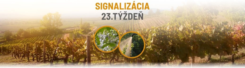 Signalizácia: 23. týždeň