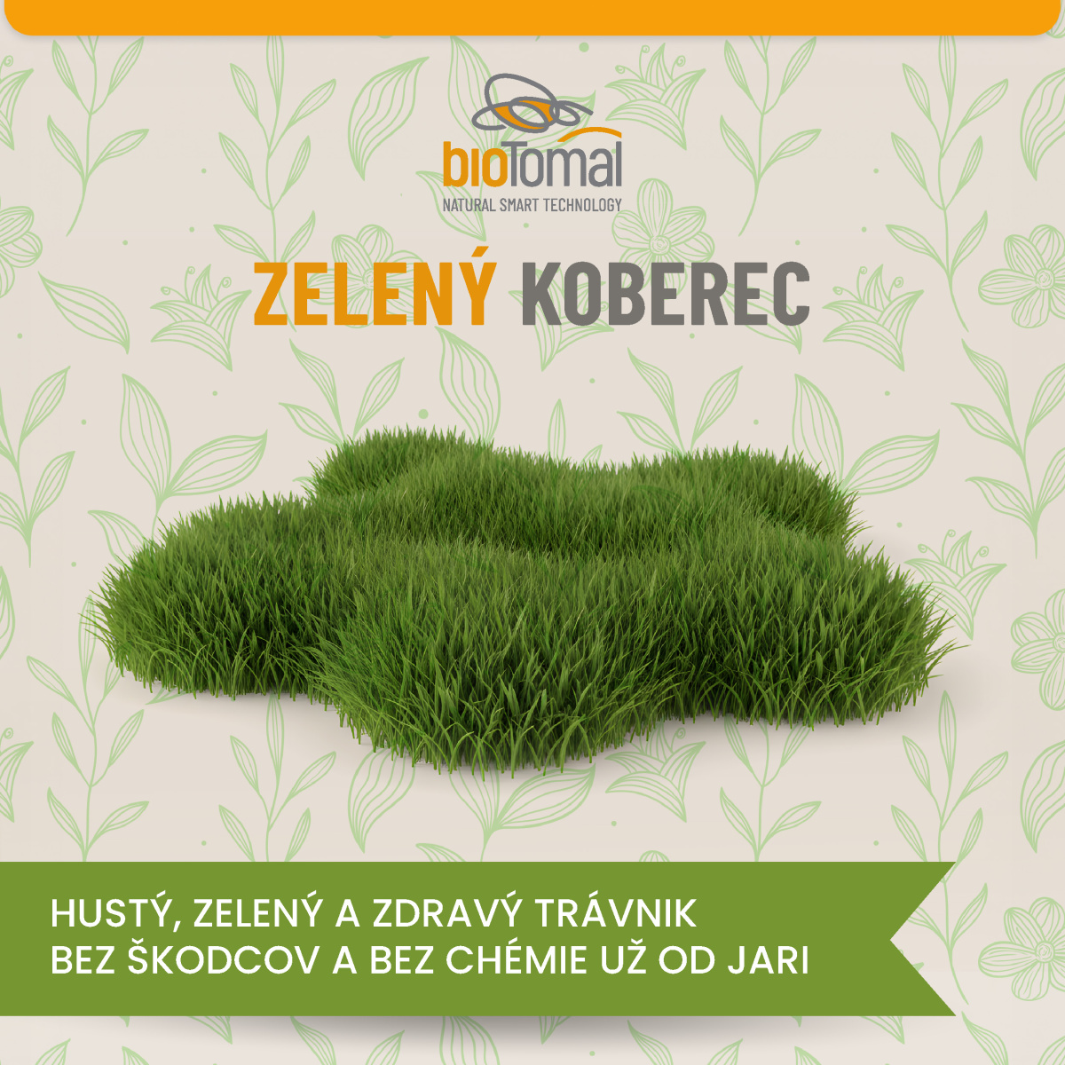 Horúčavy a sucho: prečo je leto kritickým obdobím pre ochranu koreňov rastlín