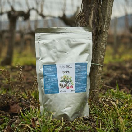 Zlaté žltnutie viniča – hrozba, ktorá sa môže týkať každého vinohradníka