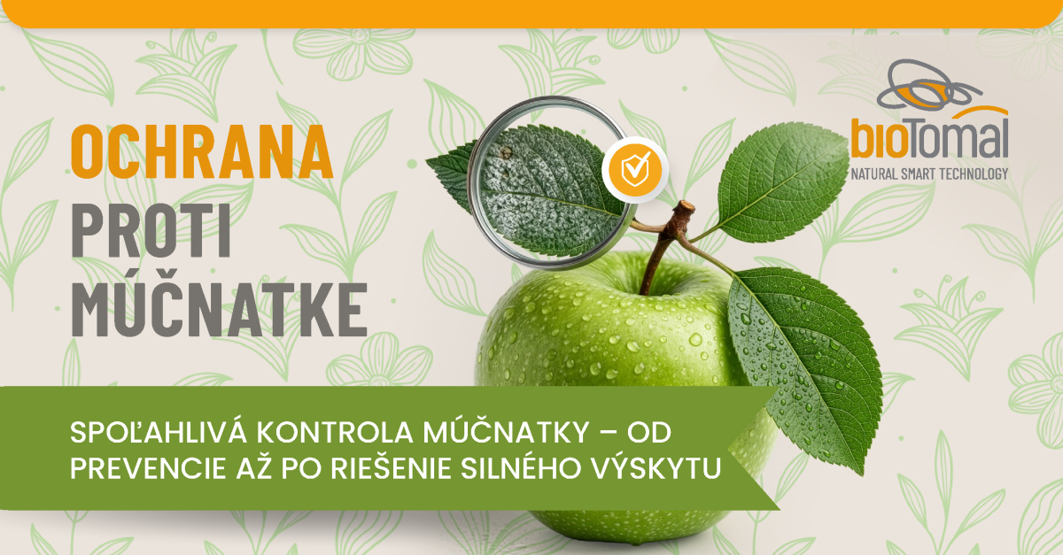 Signalizácia pre vinohradníkov - 20. týždeň / 2026