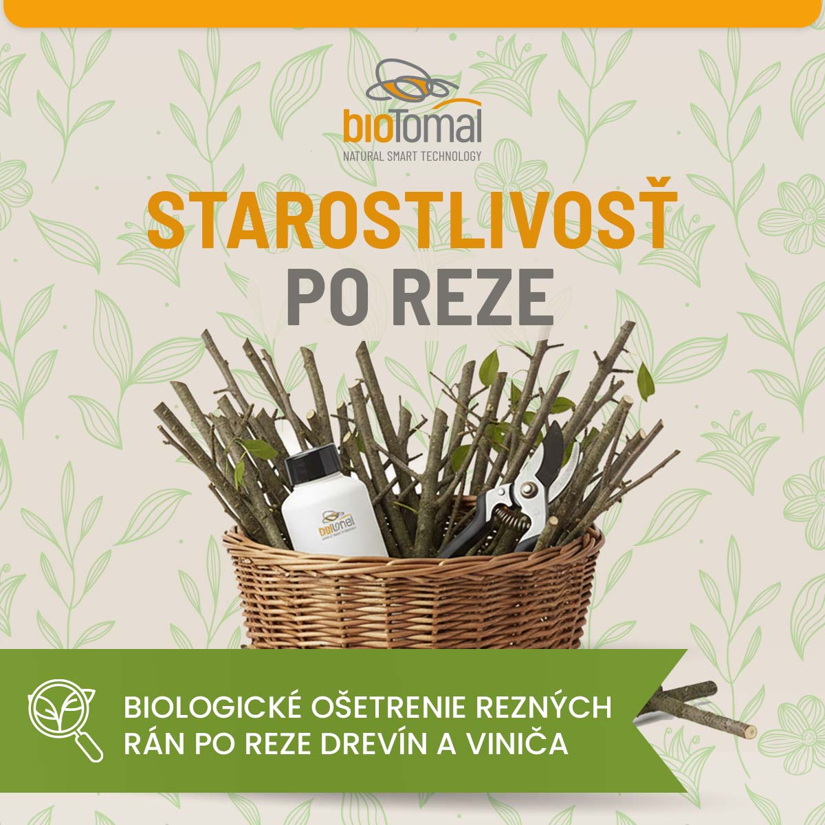 Ošetrovanie rezných rán vo vinohrade: kľúč k ochrane pred drevokaznými chorobami
