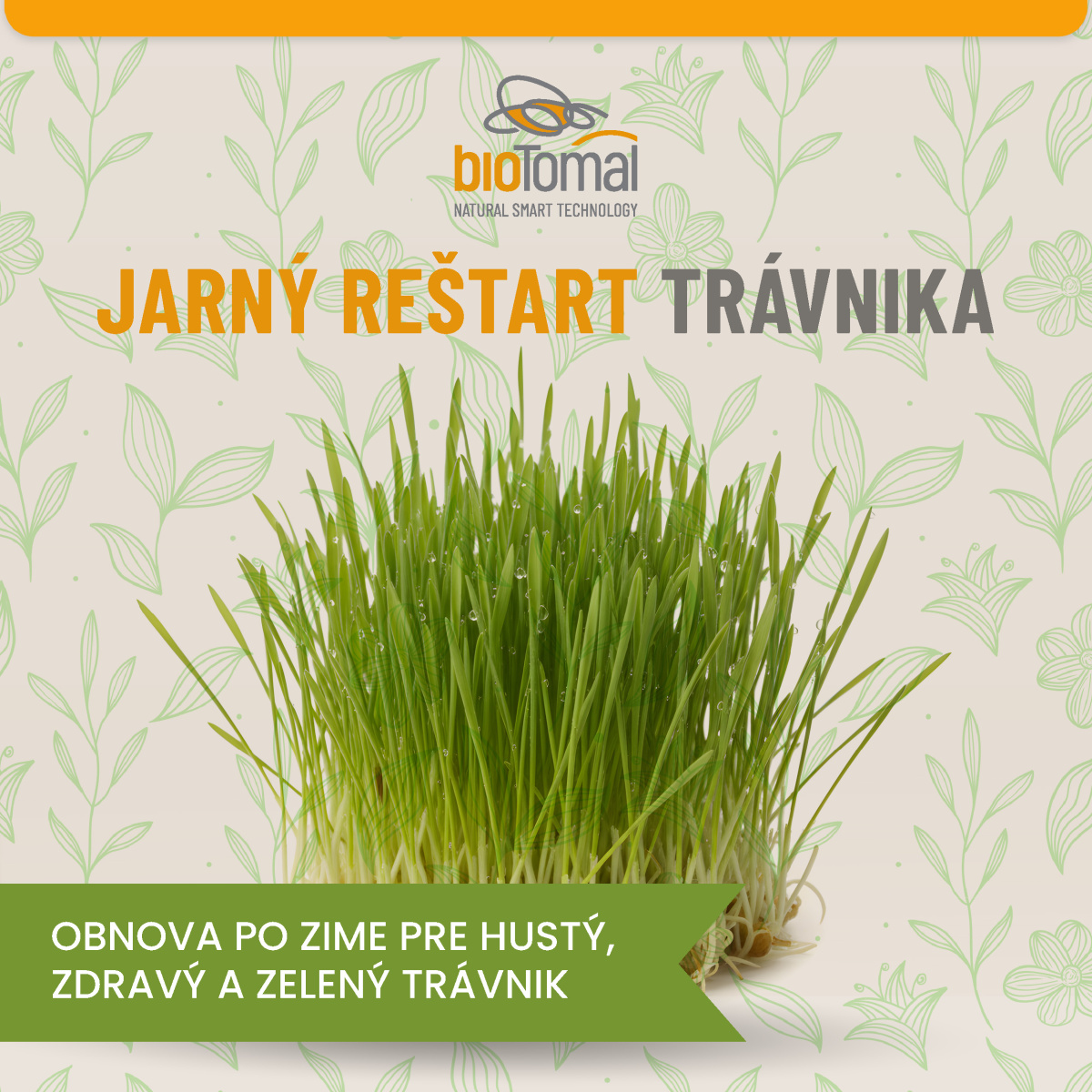 Zeleninové priesady v chladnej jari: Ako ich chrániť pred stresom?