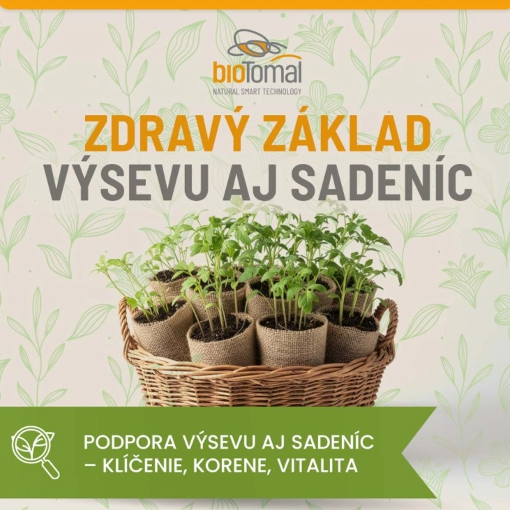 Mykorhízne huby – tajná podzemná sieť, ktorá rozhoduje o sile Vašej záhrady