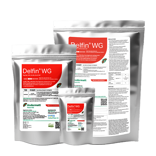 Húsenice na izbových rastlinách – ako ich rozpoznať a odstrániť