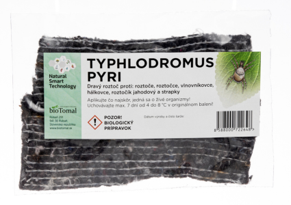 Typhlodromus pyri - malý ale dravý!