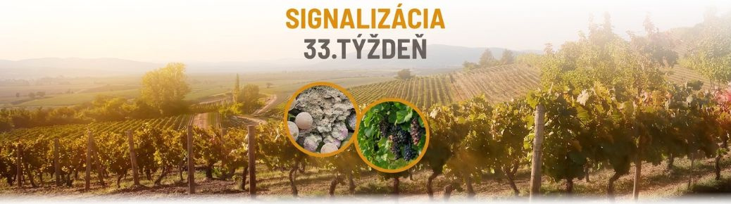 Signalizácia: 33. týždeň