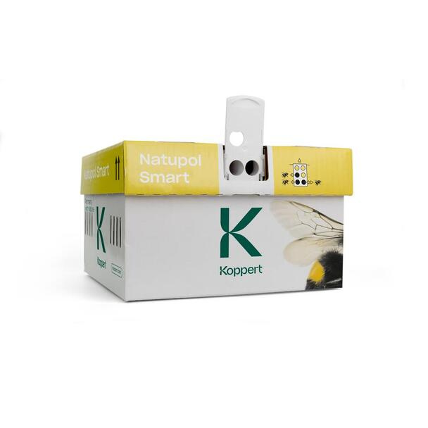 🌿 Máte malú záhradu a málo hmyzu? Ako zabezpečiť opelenie v prímestských a mestských záhradách