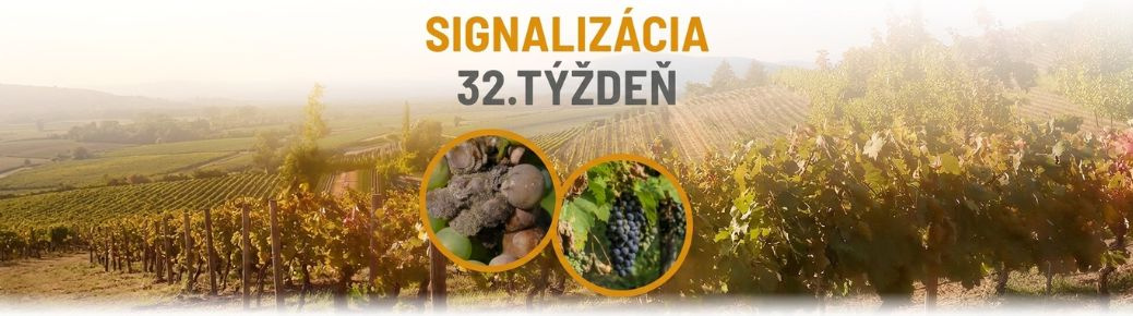 Signalizácia: 32. týždeň