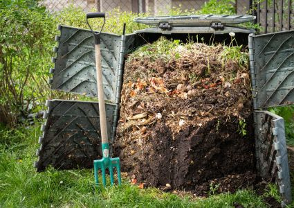 Prečo rovnaká mrkva neprináša rovnaký úžitok? Tajomstvo zdravej úrody sa skrýva v pôde
