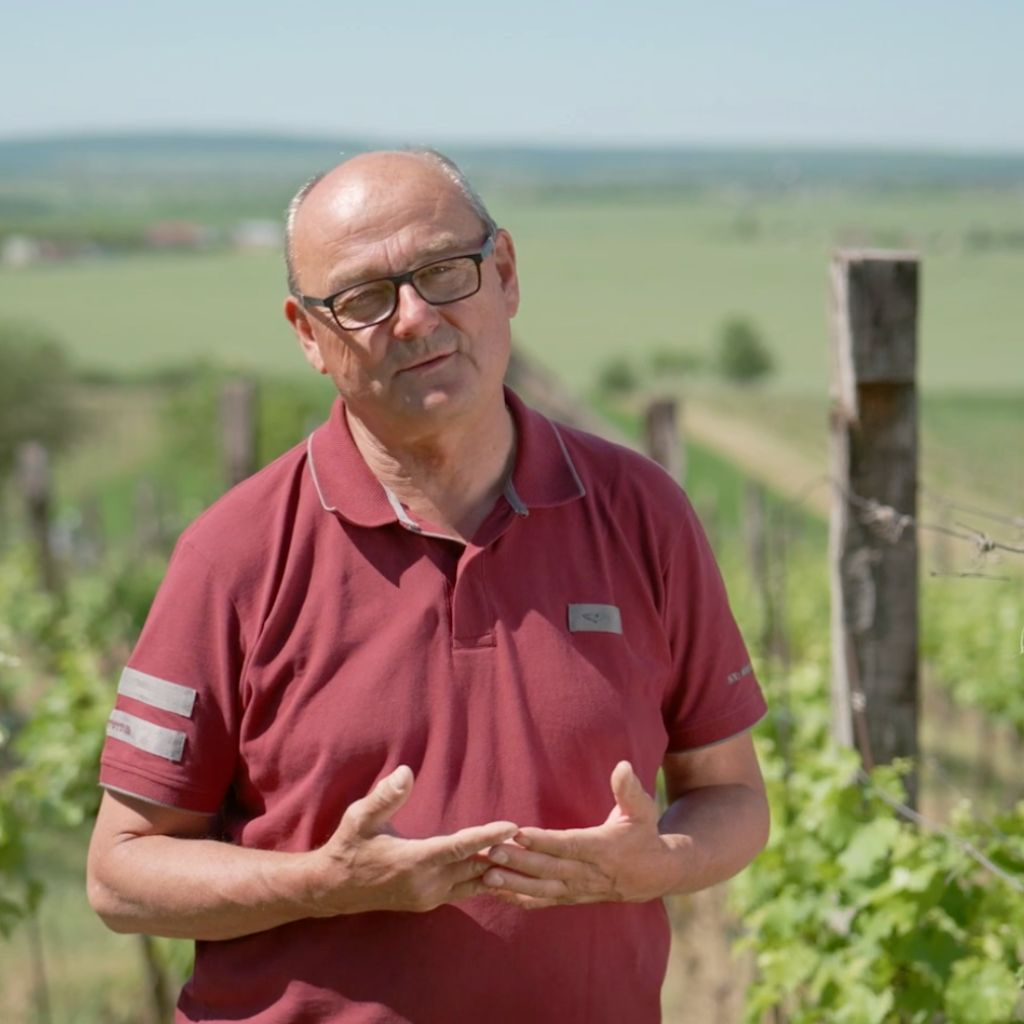 Efektívna ochrana sóje v období sucha: ako získať stabilnú úrodu aj bez zbytočných nákladov