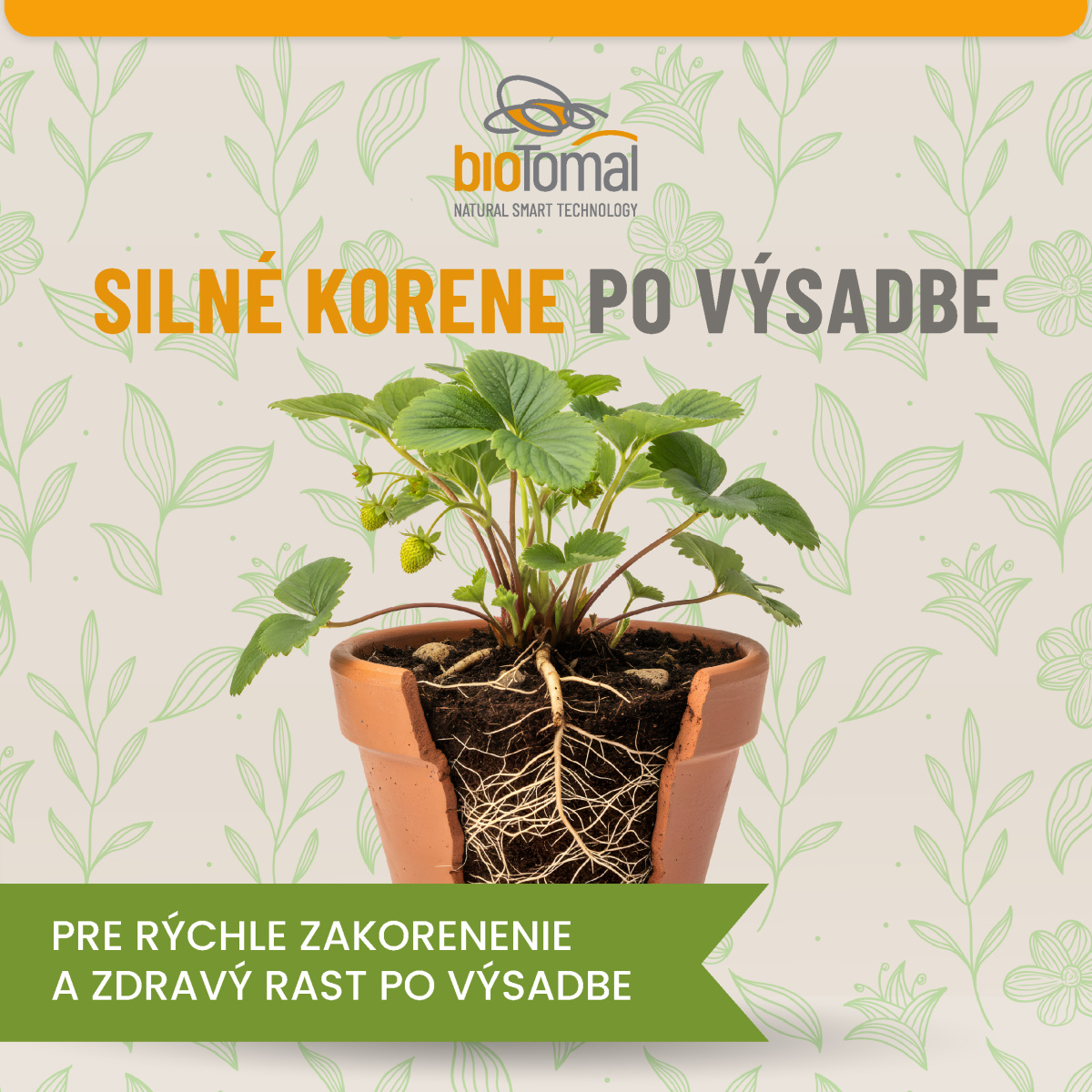 Zeleninové priesady v chladnej jari: Ako ich chrániť pred stresom?