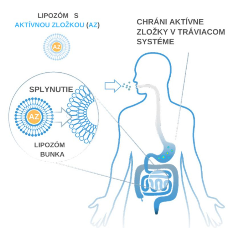 ABSORBii VITAMIN C lipozomálny, 500mg, 6O kapsúl