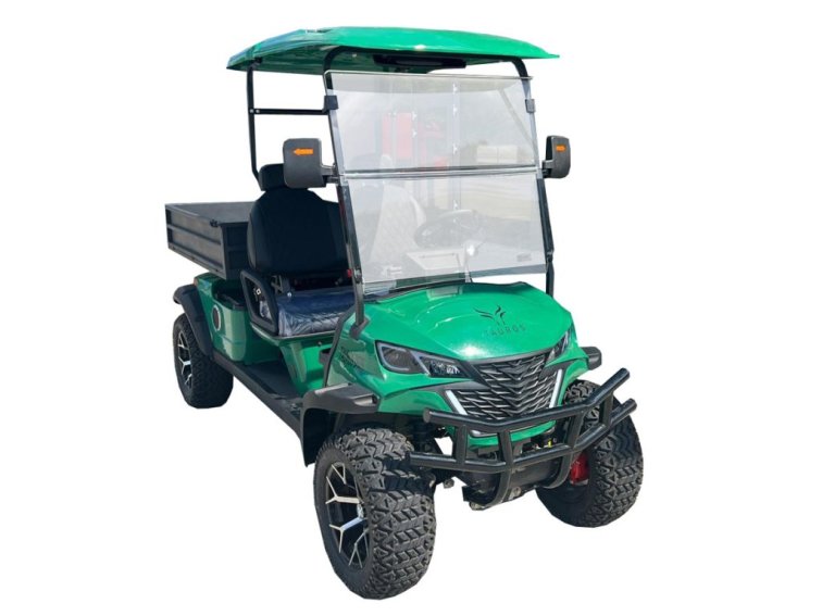 Tauros UTV ELEKTRIC D50s