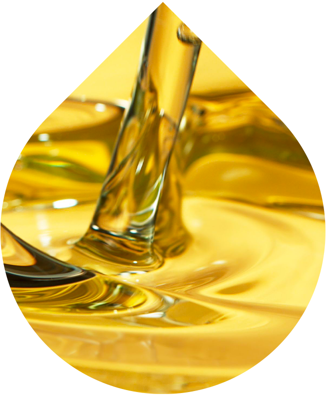 Gesichtsreinigungsöl 100ml