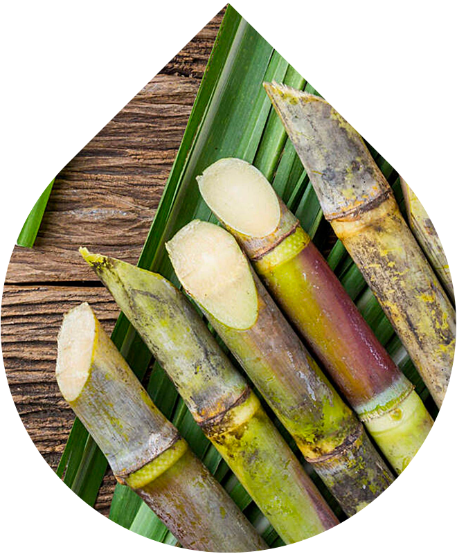 Gesichtsreinigungsöl 100ml