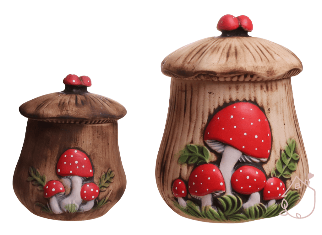 Dóza na sušené houby